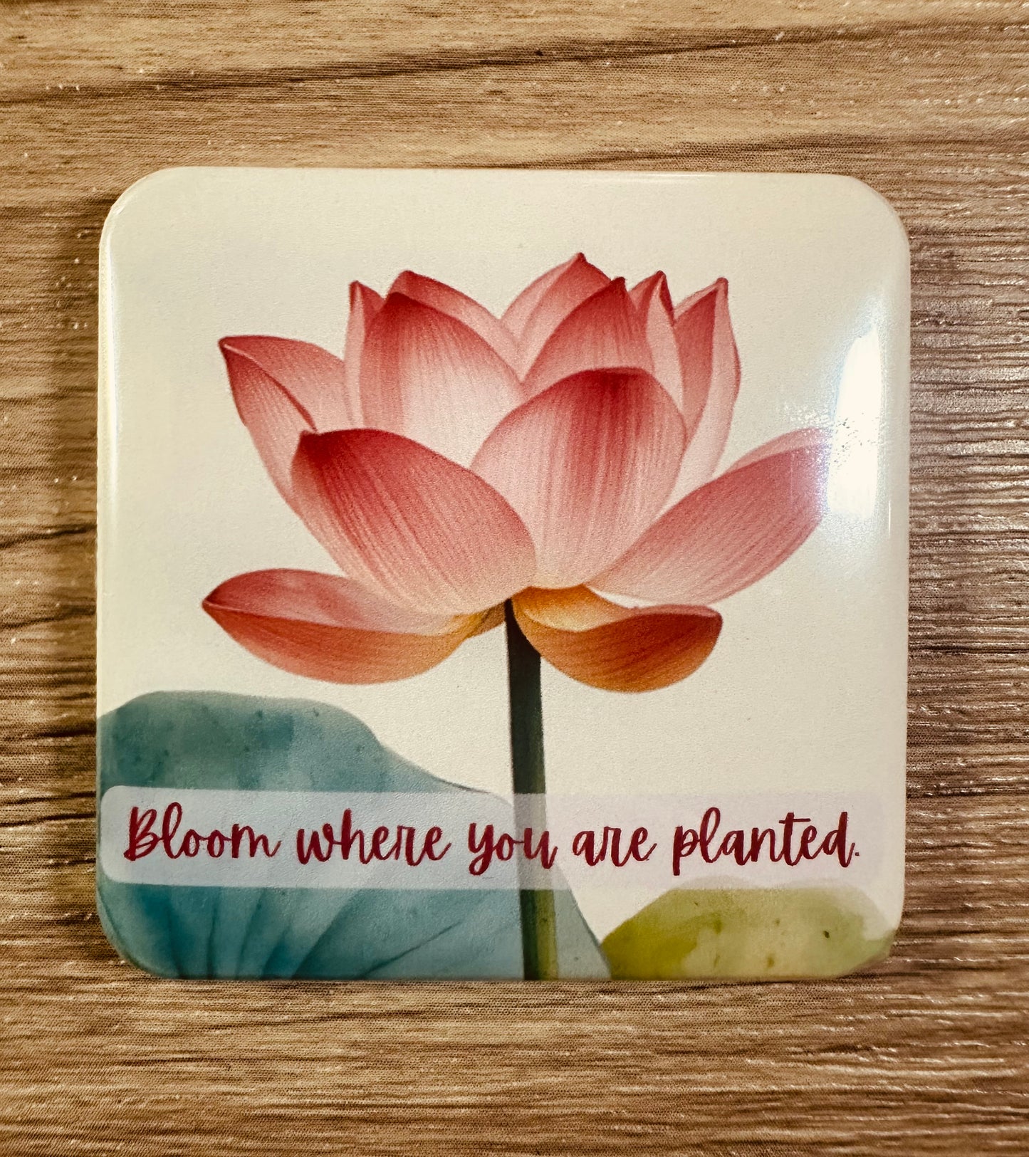 Bloom 3