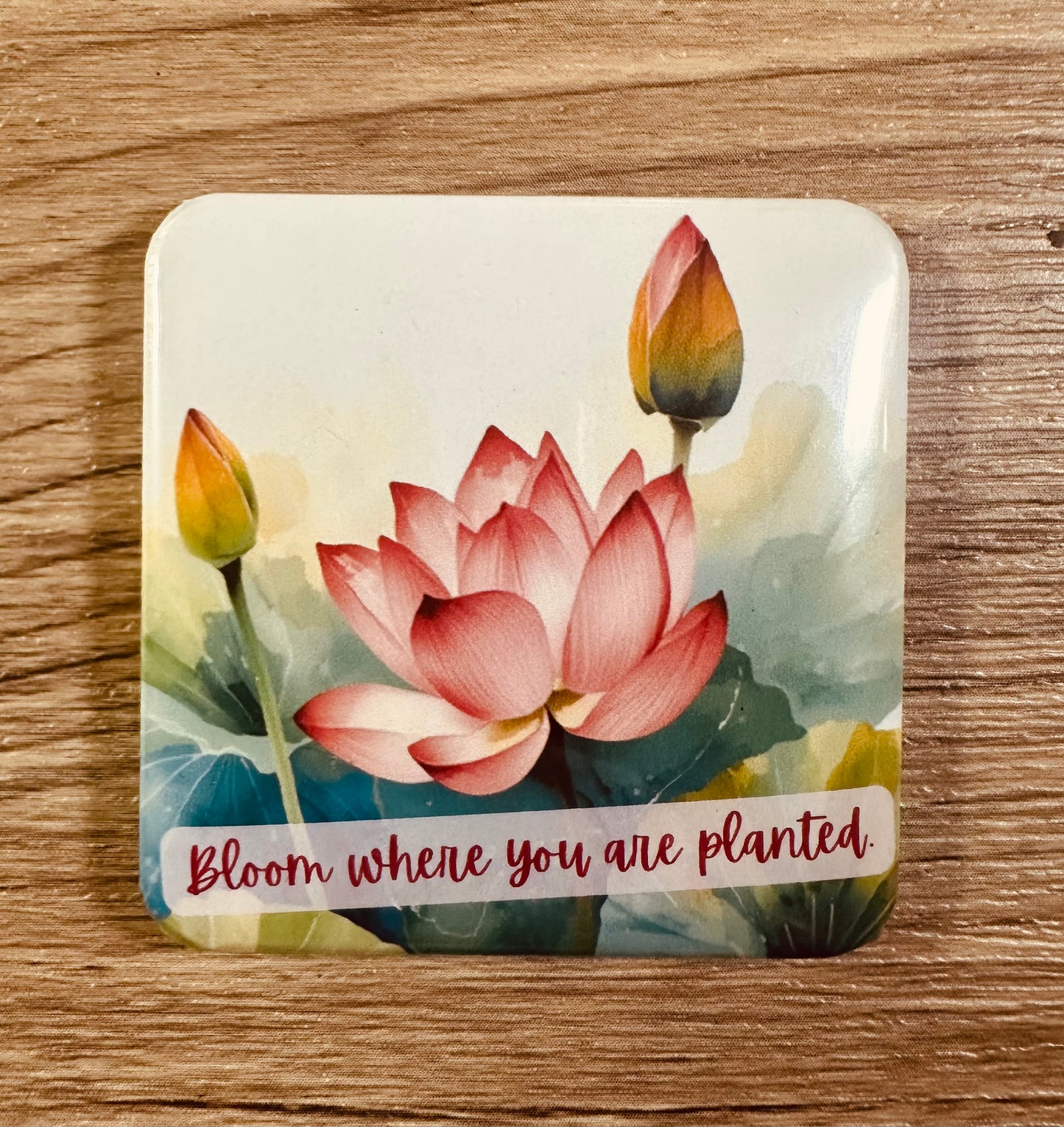 Bloom 4